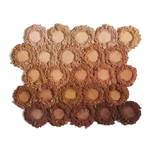 Complexion+ Pressed Powder Foundation