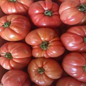Tomate da nossa quinta